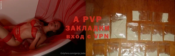 гашик Краснослободск
