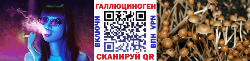 Псилоцибиновые грибы ЛСД  даркнет сайт  Кемь 